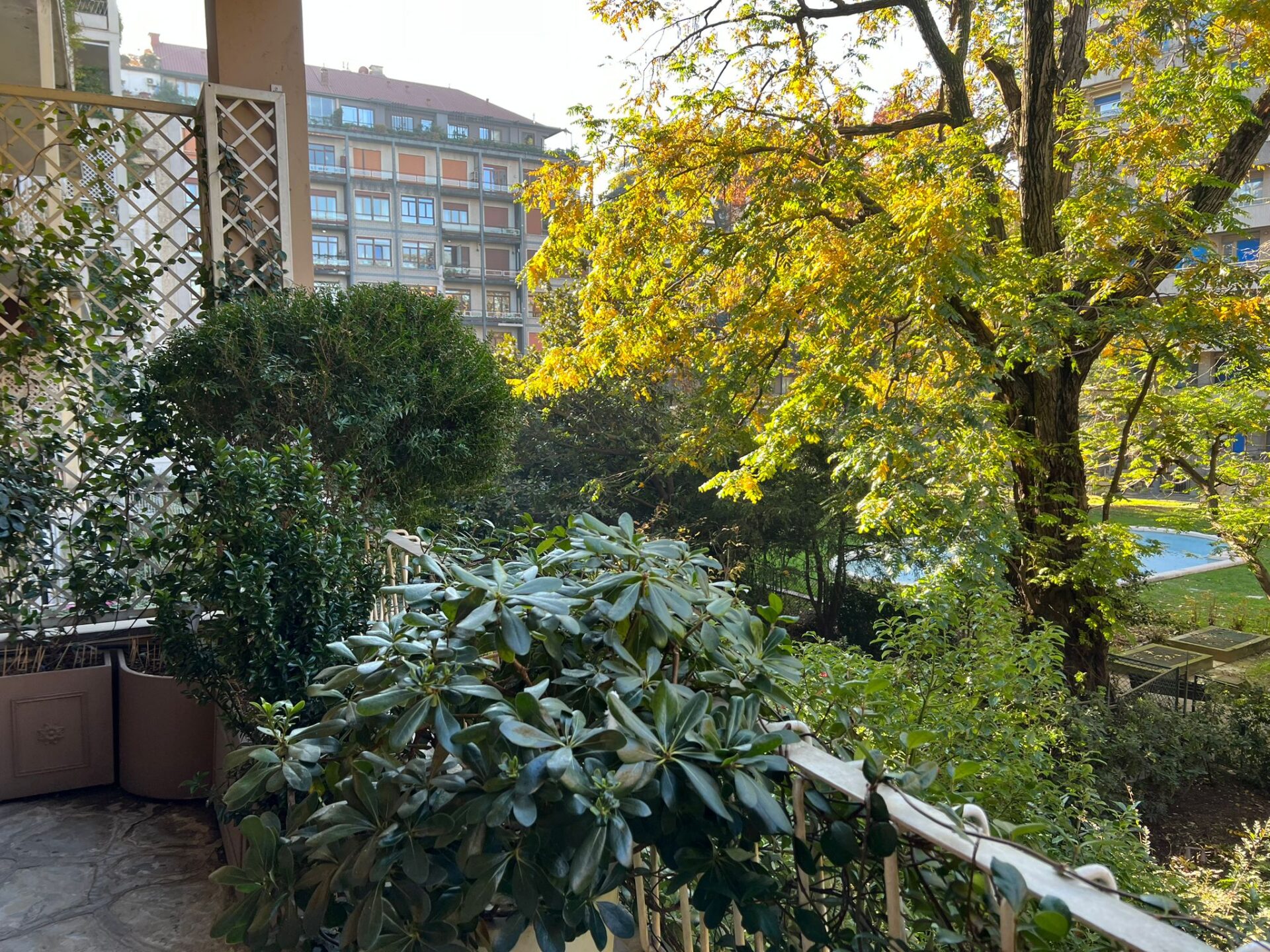 WhatsApp Image 2023-11-30 at 15.56.21 (3)