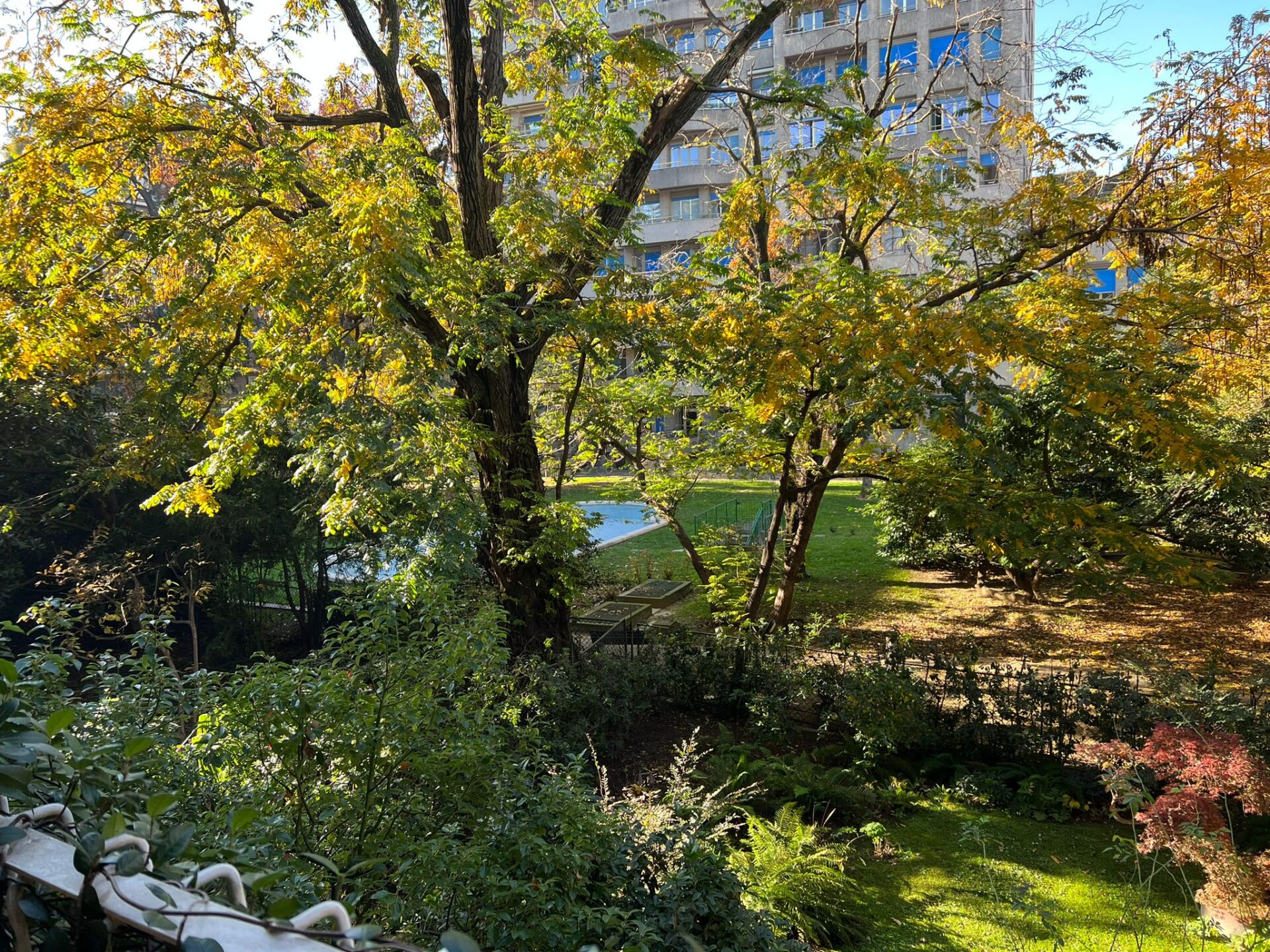 WhatsApp Image 2023-11-30 at 15.56.22